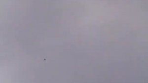 БК торцовые голуби Семченкова А