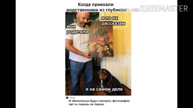 Самые различные прикольчики мемы смотреть онлайн