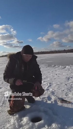 УДАЧНАЯ РЫБАЛКА.