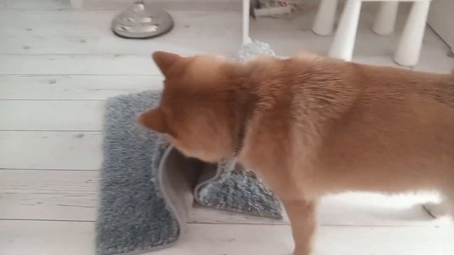 Утром Сеня Как всегда На своем волне 😁😆 и Юша смотреть онлайн