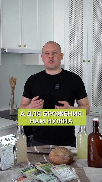 Магазинный квас НЕ живой?! #квас #домашнийквас смотреть онлайн