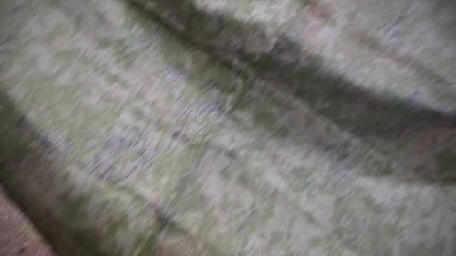 ГАЛА-ГАЛА Даже ЭТО Испортила. смотреть онлайн