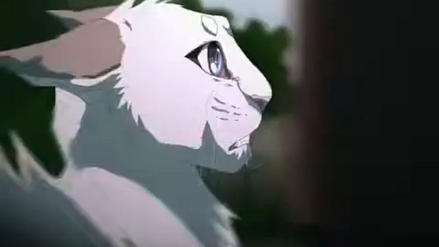 История синей звезды смотреть онлайн