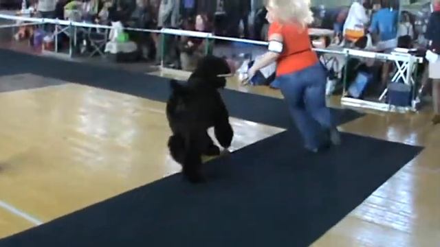 M2U00222 3 марта ЮНИОРЫ КОБЕЛИ