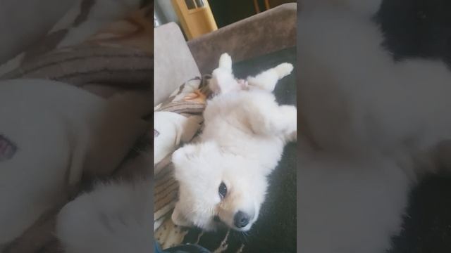 я наверное спать 🥰😎🥰