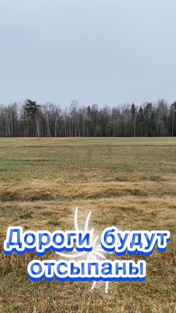 2665 смотреть онлайн