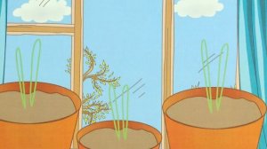 Времена года 3+ Весна. Рассада для огорода.