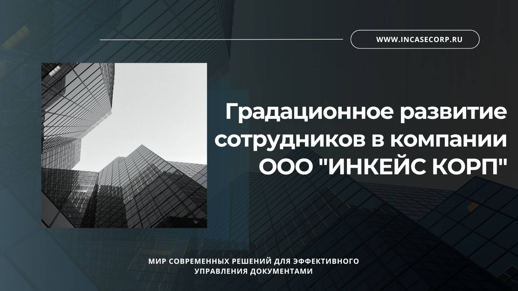 Градационное развитие сотрудников в компании ООО 