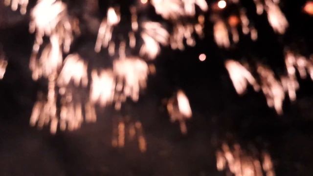 Московский Международный Фестиваль Круг Света 2015 смотреть онлайн