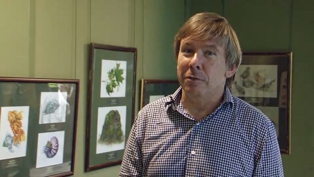 2019 06 07 Аптекарский огород  2