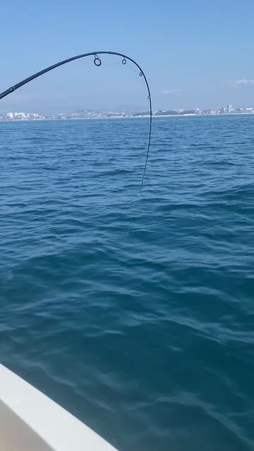 Невероятный клёв мерланга в Адлере. смотреть онлайн
