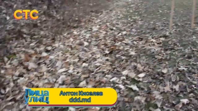 Молдаванин публично застрелил сигарету смотреть онлайн