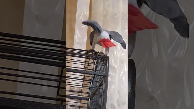 Приколы от Жени перед сном. смотреть онлайн