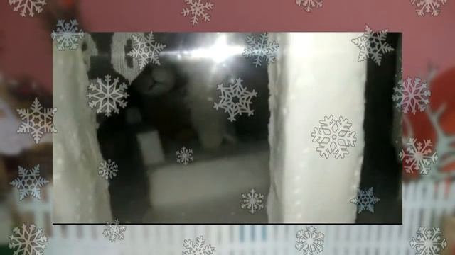 Фильм Выставка СНЕЖНОЕ ЦАРСТВО, МОРОЗНОЕ ГОСУДАРСТВО 2021 смотреть онлайн