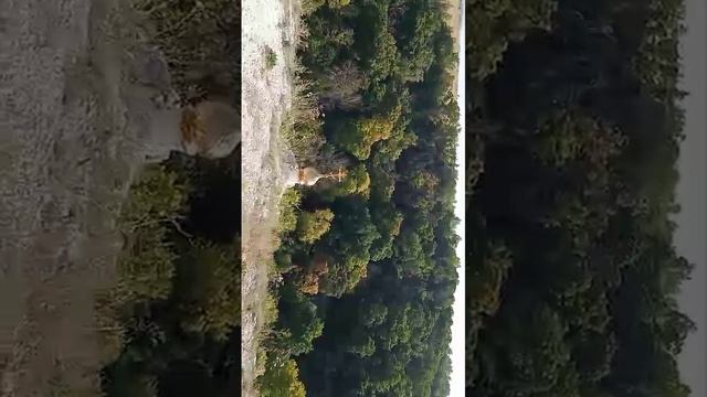 VID-20240822-WA0004 смотреть онлайн