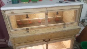 Вместительный брудер для цыплят своими руками. Экономный вариант для деревни