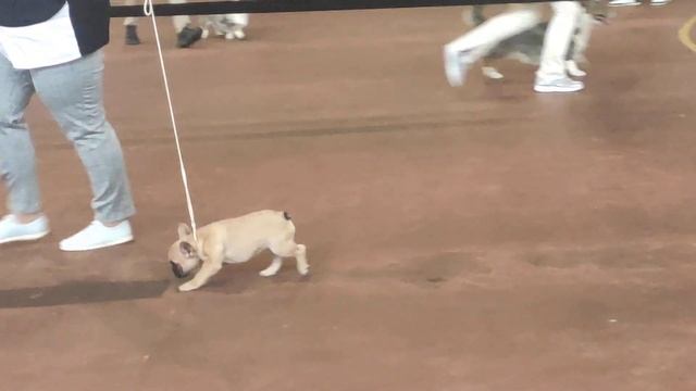 23 декабря 2022 г. смотреть онлайн