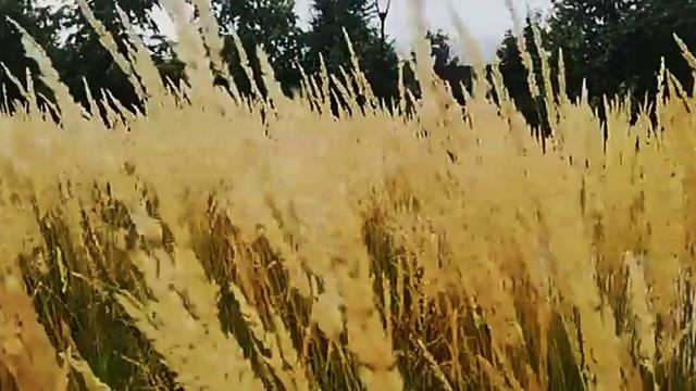 Александр Мишанов - Клип