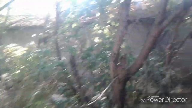 ВЛОГ!!! Едим в Мегамол Армада и на День Рождение))) смотреть онлайн