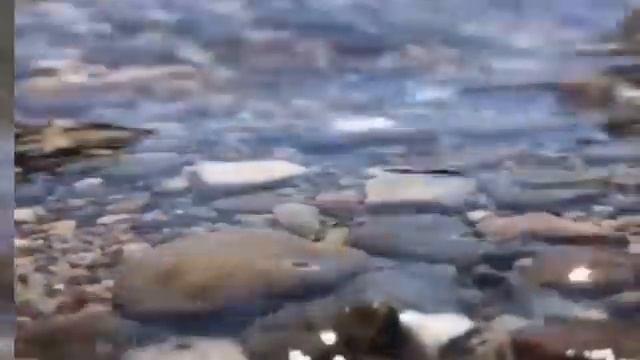 ТОХА СУРА Открывающая все дороги смотреть онлайн