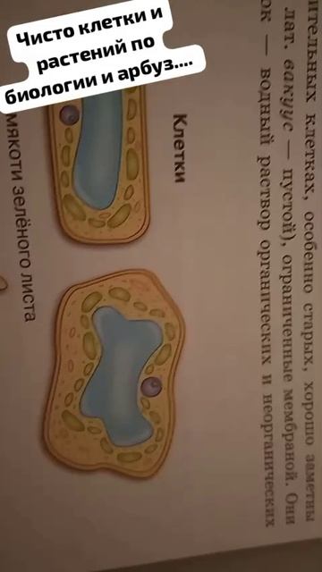 😂🤣😂🤣😂🤣😂🤣😂🤣😂