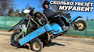 ПЕРЕВОЗИМ КВАРТИРУ, ГАРАЖ И СОБАКУ НА МУРАВЬЕ РАЗОМ!