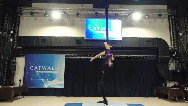 Жаркая Николета - Catwalk Dance Fest [pole dance, aerial] 14.11.2021г. смотреть онлайн