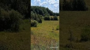 ДЕРЕВЕНСКИЕ НАПЕВЫ.