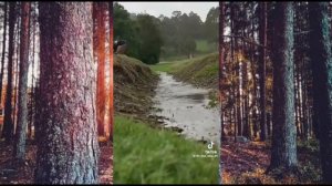 Подборка видео из тик тока||Квадробика||Красивые видео из тт🌸☘️