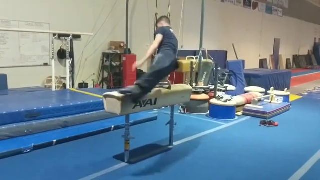 NAIGC Allowable Skills - Pommel Horse - Any combination of two flops on one pommel смотреть онлайн