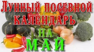 🍅ЛУННЫЙ ПОСЕВНОЙ КАЛЕНДАРЬ 🌙НА МАЙ🌕LUNAR SOWING CALENDAR 🌙FOR MAY