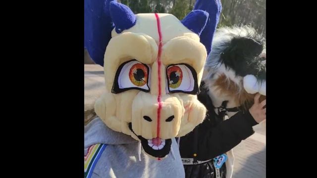 Фурри Сходка в Киеве |Furry Gathering In Kiev🇺🇦🐾