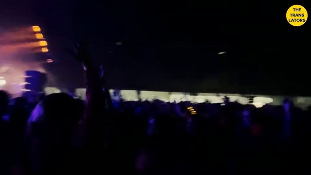 The Translators - Дикая Мята