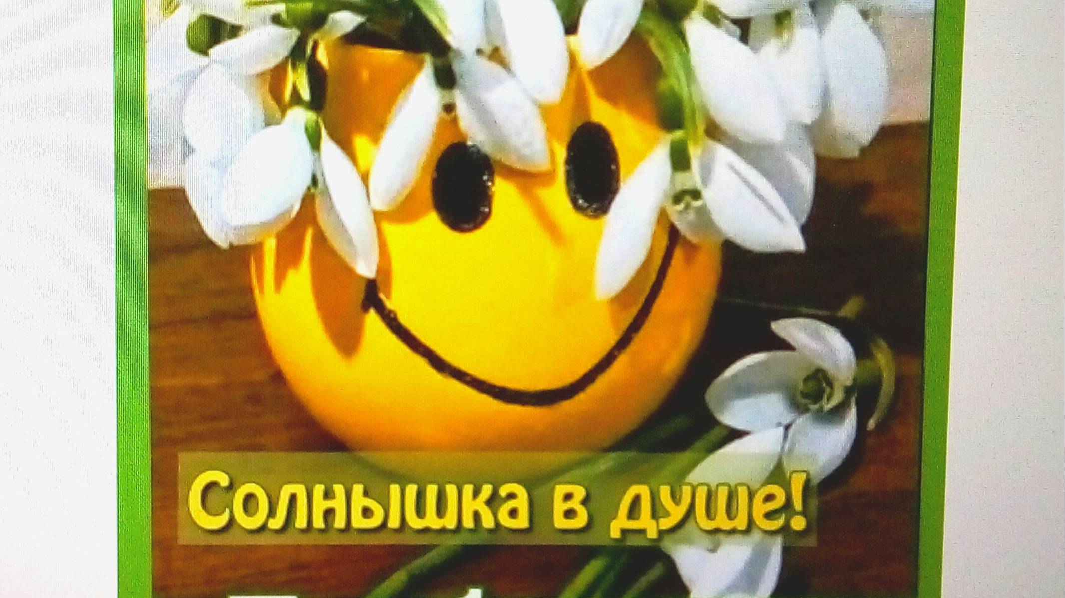 Мой день Готовим рубленные котлеты.* Еду снова на концерт.Эмоции зашкаливают. смотреть онлайн