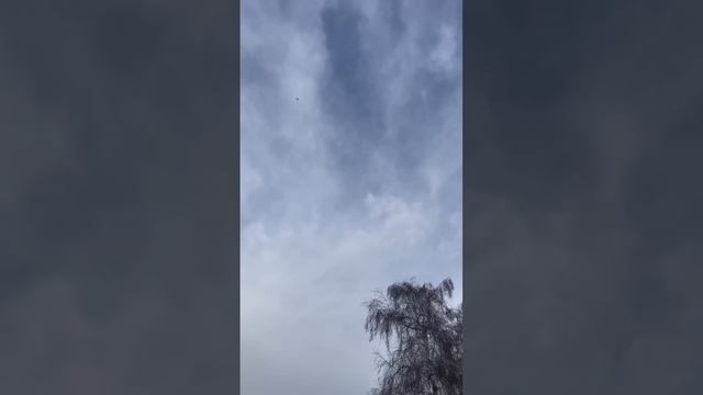 Голуби Алматы, Лет игра , Вывод 2023 года смотреть онлайн