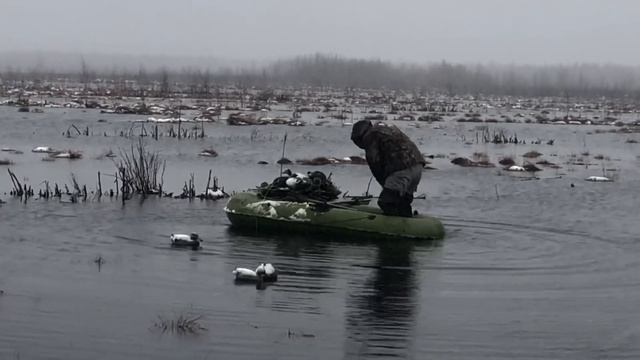 Открытие весенней охоты 2019 смотреть онлайн