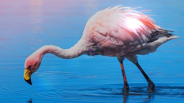 RELAX / Rest and recover! / 3 Minute Relax Music, Calm Music, Meditation, Stress Relief, Spa, Sleep смотреть онлайн