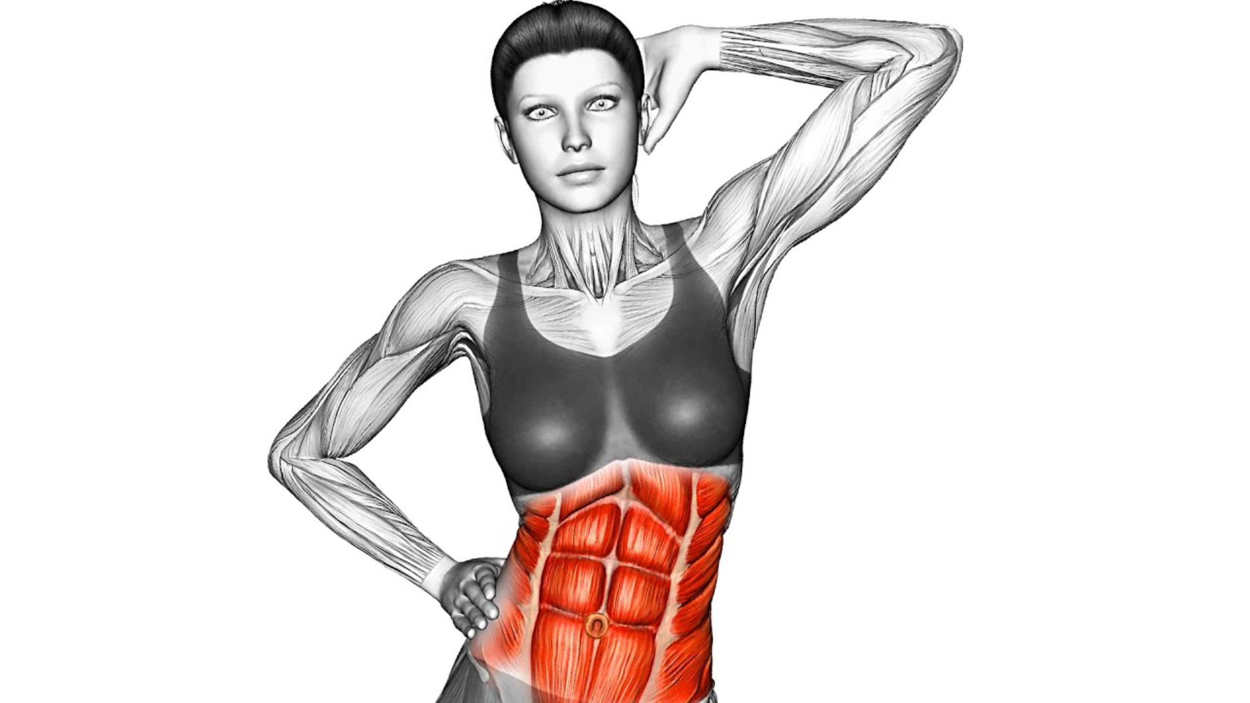 7 Упражнений на Пресс без оборудования смотреть онлайн