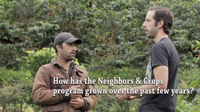 La Palma y El Tucan смотреть онлайн