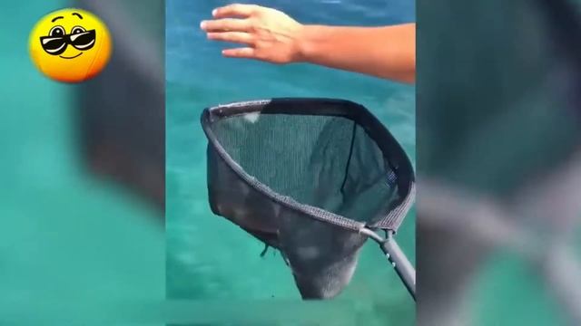 Смешные видео попавшие на камеру случайно смотреть онлайн