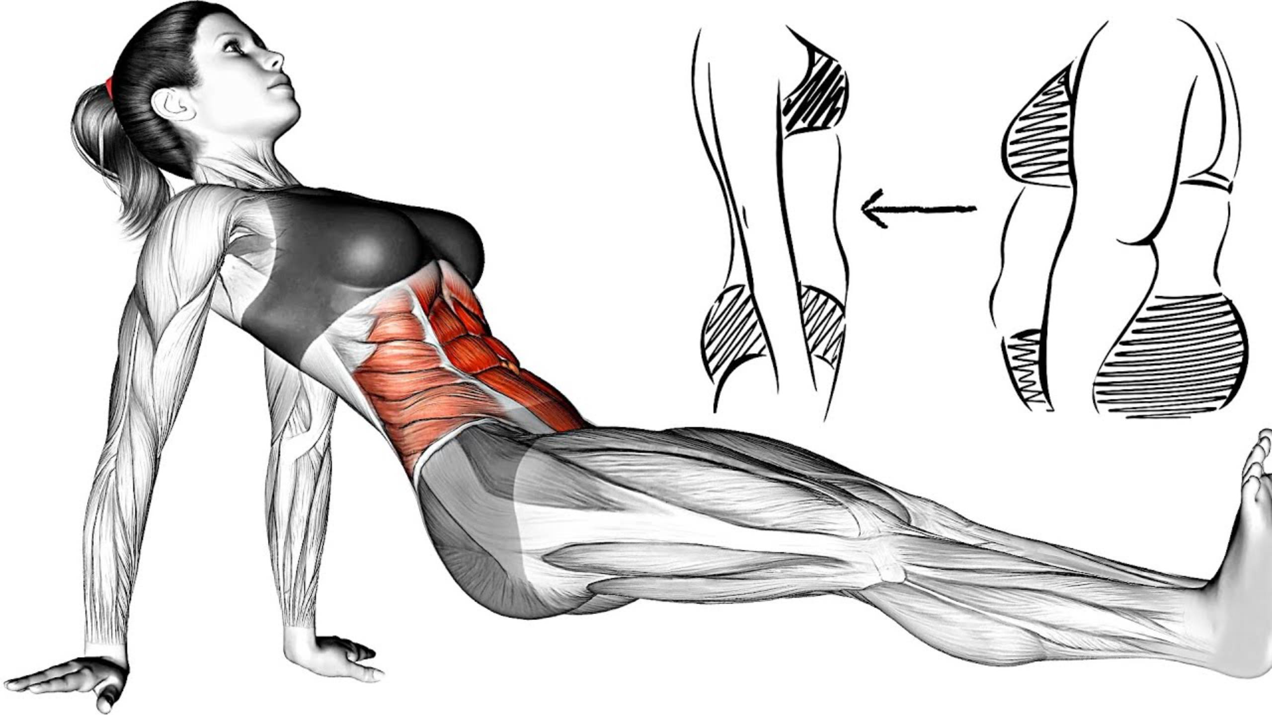Тренировка Пресса Дома смотреть онлайн