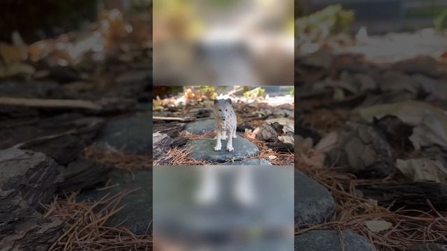 След Волков 2 серия