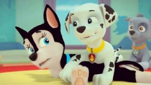 Щенячий патруль | 2 серия