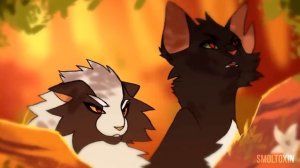 Коты воители Бушующая стихия в двух словах.