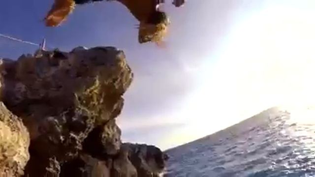 ПРИКОЛЫ смотреть онлайн