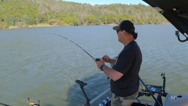 Trout Tactics: "Trolling Flies Are My Rapala" Cal Kellogg смотреть онлайн