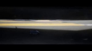 Человек муравей и оса