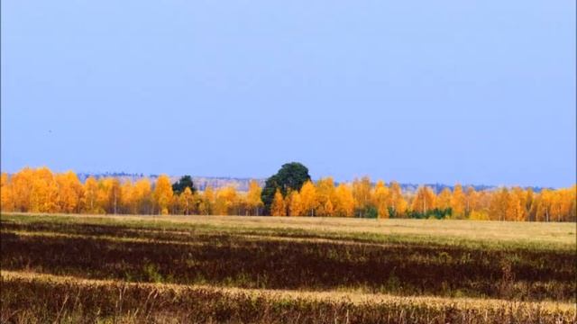 Сторона родная. смотреть онлайн