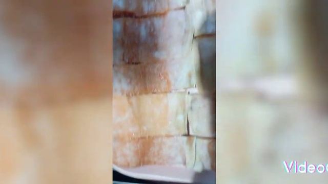 Солим крупную форель, малосол. смотреть онлайн