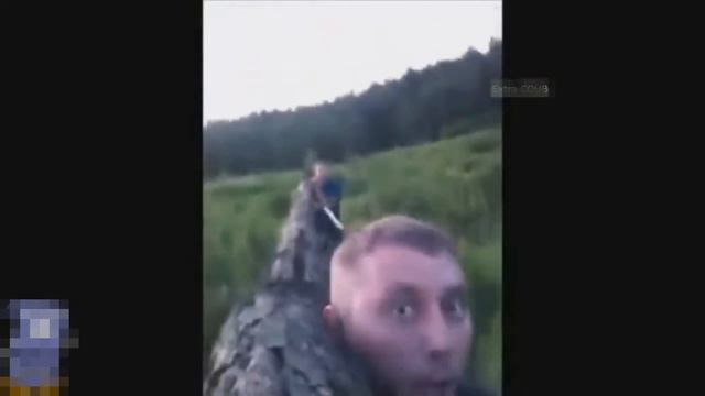 Лучшие приколы 2020 | Я ржал полчаса | Best Fails | Funny | Coub смотреть онлайн
